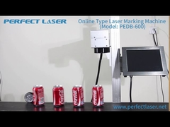Perfekte Laser-Lifting-Typ Lasermarkierungsmaschine für Flaschen oder Produktionslinie PEDB-600